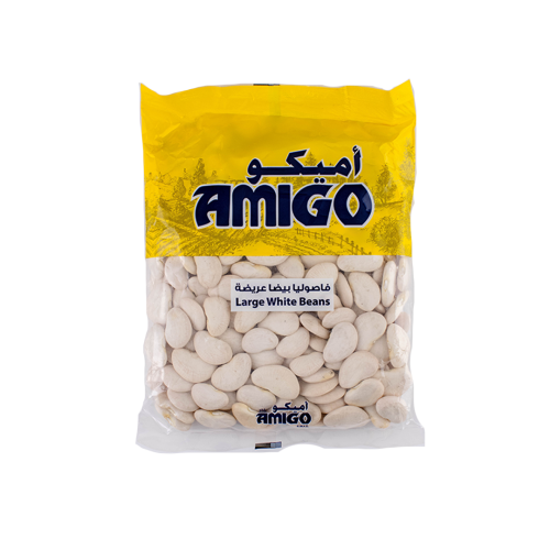 AMIGO F.BAIDA ARIDA 454G