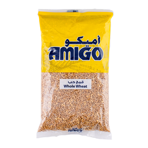 AMIGO  KAMEH HAB (10