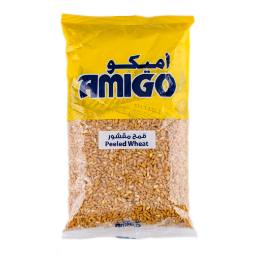 AMIGO  KAMEH MAKCHOUR