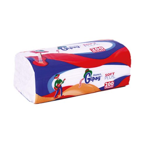T/GIPSY SF 200 (12)