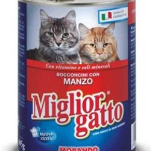 MIG.405G CAT CON MANZO (24) 01212