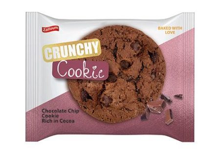ZALLOUM DIGESTIVE WITH CHOCOLATE 22G
