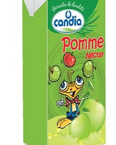 CANDIA JUS NECTAR POMME 180ML