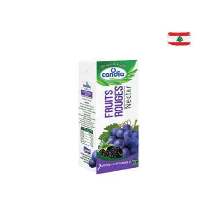 CANDIA JUS NECTAR FRUITS ROUGES 180ML