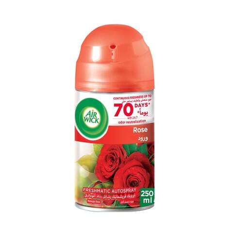 A.W FM M.ROSE 250M -35%