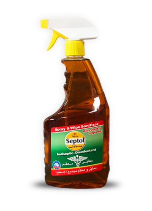 SEPTOL SPRAY&WIPE SANTZR 825M (12)