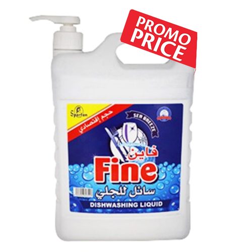 FINE D.WASH GAL SEA (4)