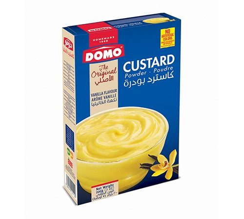 DOMO CUSTARD VANILLE 200G CARTON