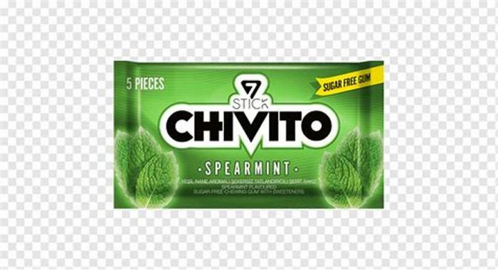 STICK CHIVITO SUGAR FREE GUM SPEARMNIT 5 PIECES