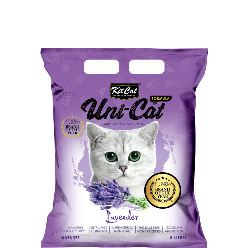 L/KITTY CAT 5K LAVENDER(4)