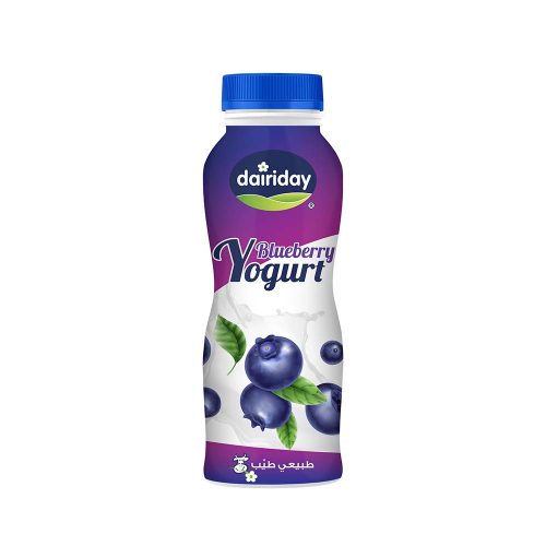 DAIRY DAY YOGURT BLUEBERRY