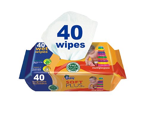 GIPSY WET WIPES X40 (4+1)