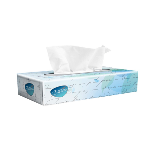 DREAMS TISSUES LIVING 100 SHEETS