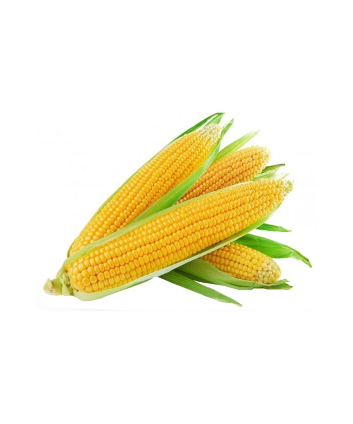 Corn 500g