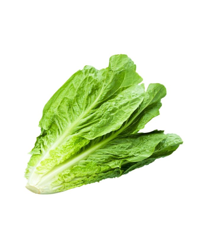 Lettuce Romaine 500g