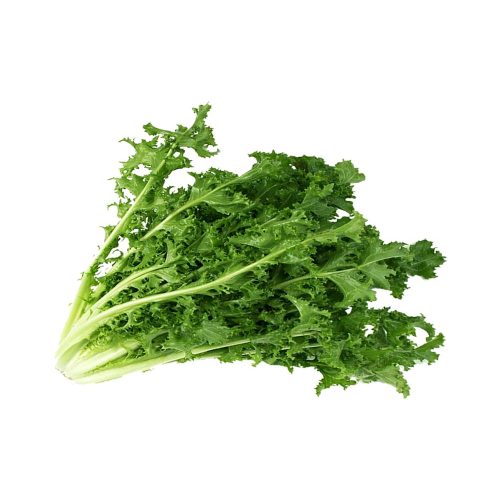 Local Chicory