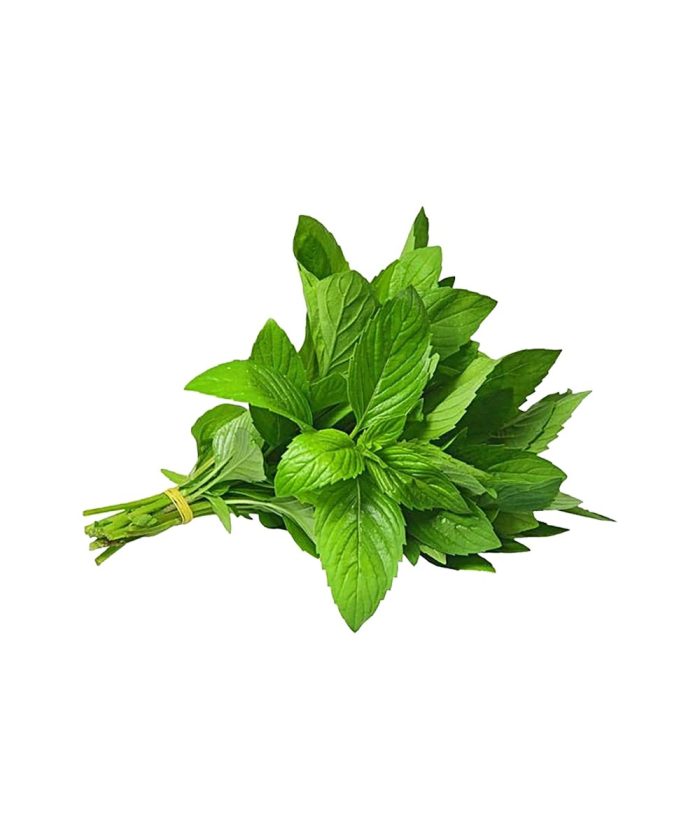 Mint 500g