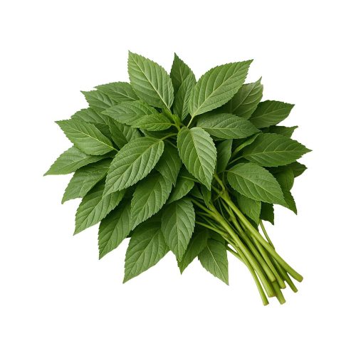 Mloukhiye 500g