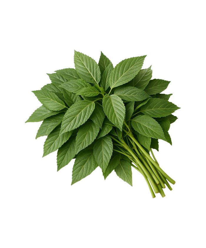 Mloukhiye 500g