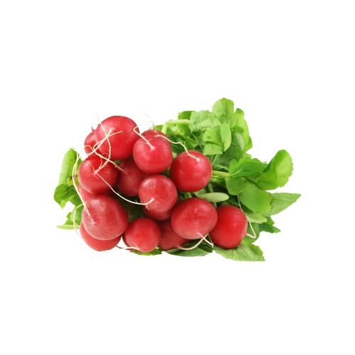 Radish 500g