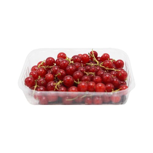 Red Currant 500g