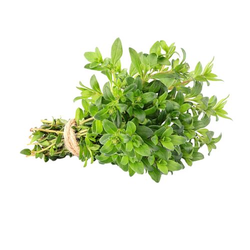 Thyme