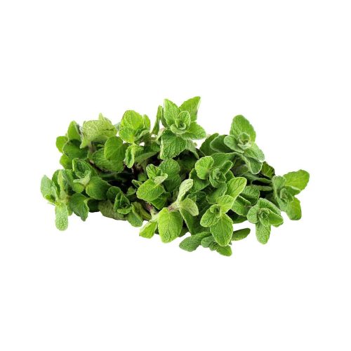 Wild Thyme